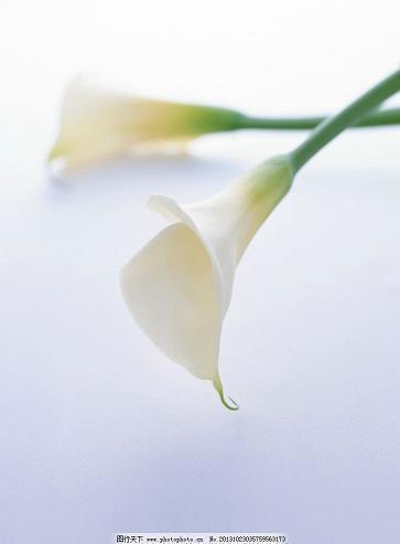 最新大雪朋友圈唯美温馨一句话 大雪心情说说短语20字