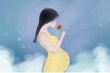 龟莼