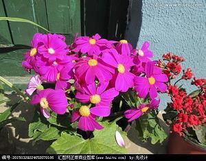 《堂吉诃德》读后感精选五篇