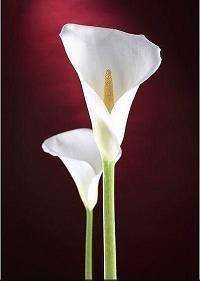 2020立冬发朋友圈祝福语简短独特