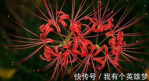 我想唱一首情歌 不需别人认可
