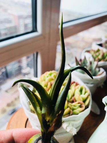 2021父亲节文案朋友圈说说一句话 2021父亲节朋友圈说说大全