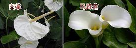 关于生活的个性说说23句