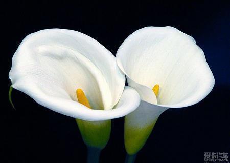 qq空间情侣简短伤感的短语