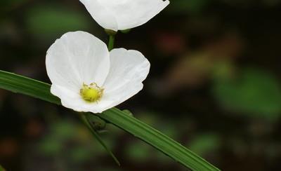 2021护士节医生对护士的祝福语 2021护士节歌颂赞美医护人员祝福