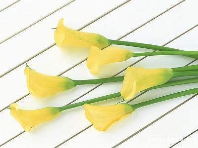 菨