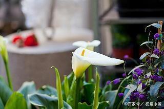 2021最佳建党100周年祝福语(精选74句)