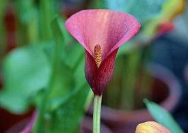 下雨了怎么发朋友圈 下雨天的心情经典句子汇总82句