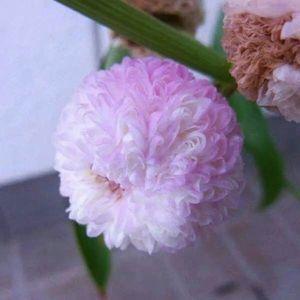 2021大年三十春节给朋友的暖心祝福语