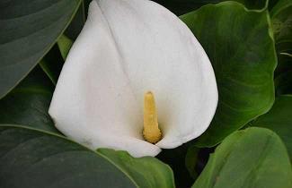 光棍节适合送给朋友的简短句子 光棍节短句祝福语