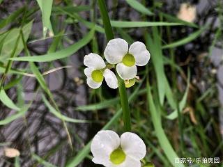 2021毕业感恩老师的句子精选74句