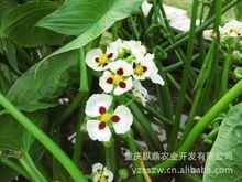 句句说到心坎的经典励志说说14句，一无所有，就是拼的理由