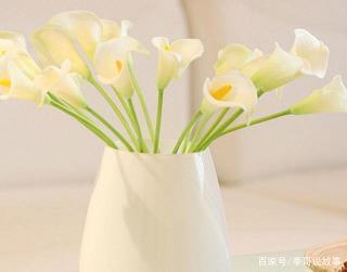 厚恩