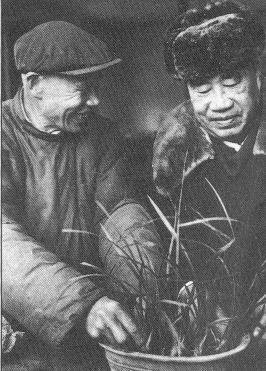 续续