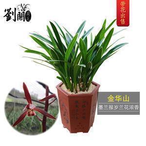 节性