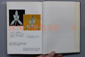 2021中秋节走心祝福语(精选91条)