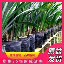 心情不好伤感迷茫的说说 我想念过去，但却习惯现在，拒绝未来