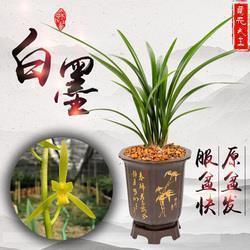 个性网说说2021年