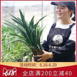 朋友圈伤感说说29句，看完哭了那种