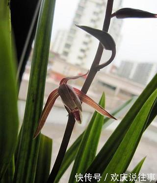 萦盘