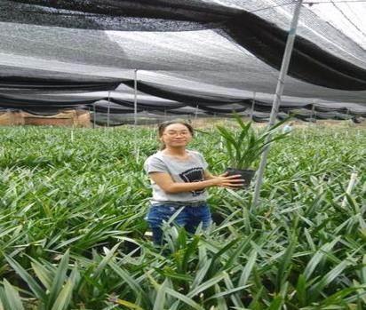 2020给朋友国庆节微信祝福语