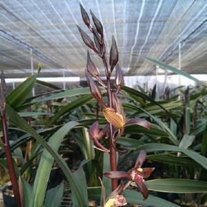 关于城市的个性句子精选60句