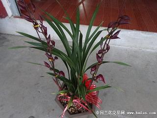 谆谆不倦