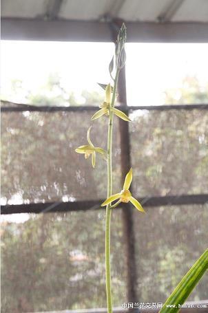 劳动的名言名句 关于劳动的名言推荐63句