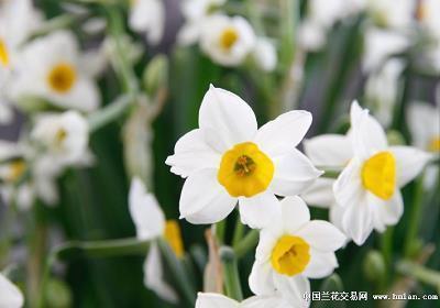 龙性