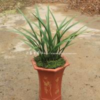 余生很贵霸气说说