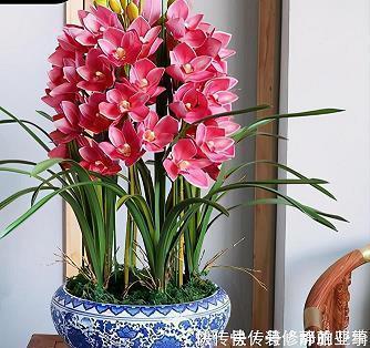 迅电流光
