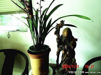 写给男朋友的情话短句推荐53句