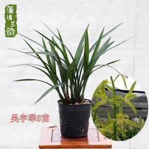 准备跨年的说说 2021跨年的经典说说33句