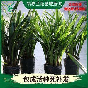 2021腊八节朋友圈祝福短句大全