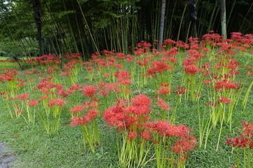 土豪诗句大全_句子大全