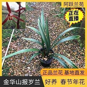 伤感无奈个性说说(49句)