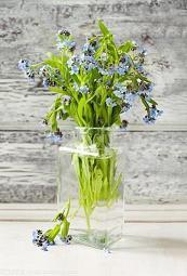 形容秋天树叶黄了掉下来的美句子(精选34句)