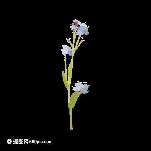 2021年微信腊八节元宵节祝福语