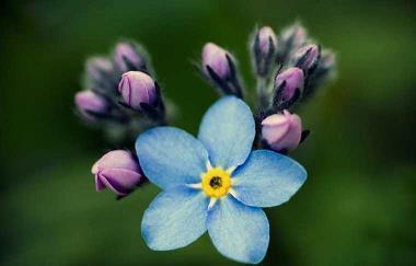 对儿子失望的句子