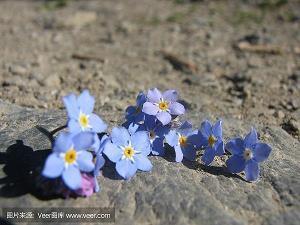 中小学生爱国标语：国在心礼在行