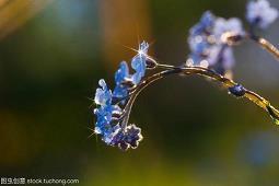 唯美伤感的小清新句子说说28句