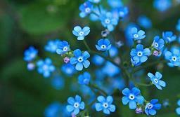 2020元宵节祝福语简短创意