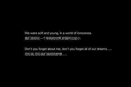 貢