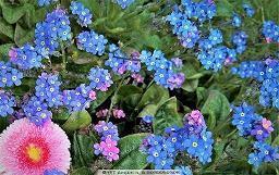 不一样的中秋节说说 中秋节经典说说大全