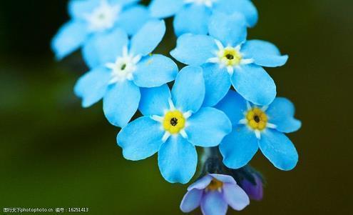 2021牛年春节给朋友短信祝福语