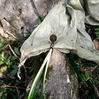 形容老师的说说句子
