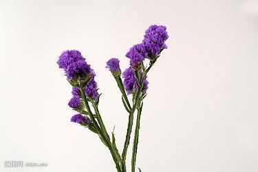 2021元宵节精选朋友圈祝福语