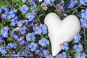 幽默浪漫的爱情句子摘抄16句