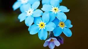 qq空间描述句子唯美