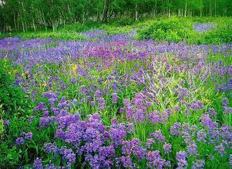 对老公彻底失望心寒的短语说说(精选61句)